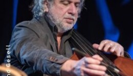Sattarov, Wagner, Gesell