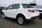 Land Rover Discovery Sport P300e Hybrid S AWD LED 360º Leder 56.432 km 24.980 &euro; Falkensee 14612