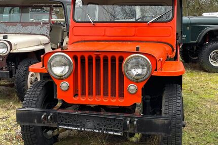 Jeep Willys 21.000 km 12.850 &euro; Trebbin 14959